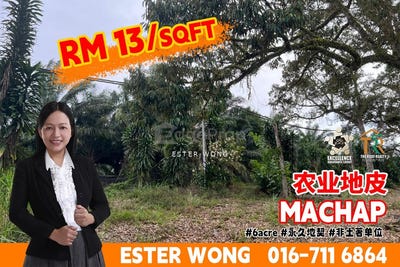 /international/my/simpang-renggam-johor-370120319830/