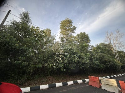 /international/my/taman-kota-masai-pasir-gudang-johor-370120194268/