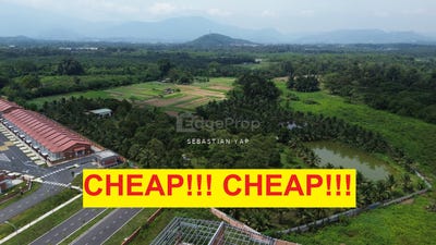 /international/my/batang-kali-selangor-370120258061/