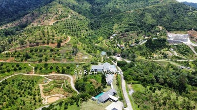 /international/my/karak-pahang-370120239323/