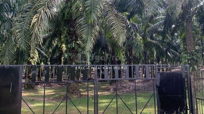 /international/my/batu-gajah-perak-370120288153/