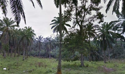 /international/my/jalan-simpah-utara-gombak-selangor-370120315319/