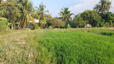 /international/my/penaga-penang-370120480075/