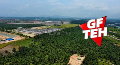 /international/my/kampung-baru-tasek-gelugor-penang-370120319354/