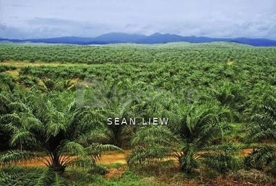 /international/my/sungai-jawi-penang-370120321877/