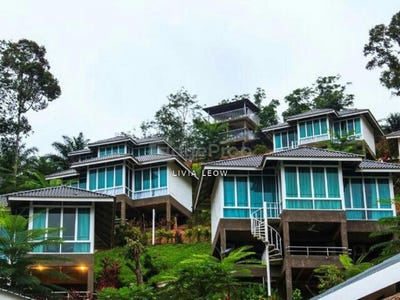 /international/my/kampung-baru-cheroh-new-cheroh-village-seksyen-4-27620-raub-pahang-raub-pahang-370120267895/