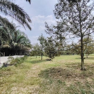 /international/my/ulu-tiram-johor-370120494490/