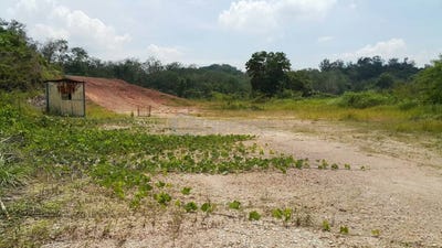 /international/my/batang-kali-selangor-370120186564/