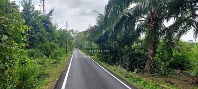 /international/my/kg-jalan-raja-muar-johor-370120268644/