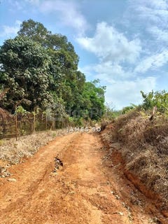 /international/my/alor-gajah-melaka-370120367533/