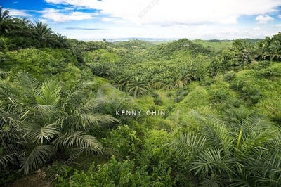 /international/my/kunak-sabah-370120390087/