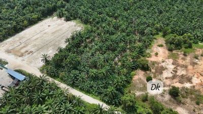 /international/my/kawasan-perindustrian-telok-panglima-garang-42500-telok-panglima-garang-selangor-jenjarom-pulau-indah-west-port-north-port-industrial-land-telok-gong-sijangkang-telok-panglima-garang-selangor-370120444887/