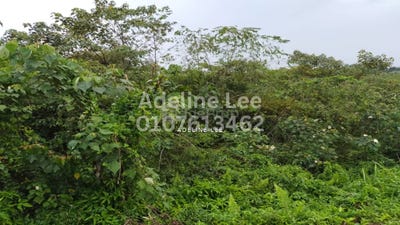 /international/my/pekan-nanas-industrial-pekan-nanas-pekan-nenas-johor-pekan-nanas-pekan-nenas-johor-370120494704/