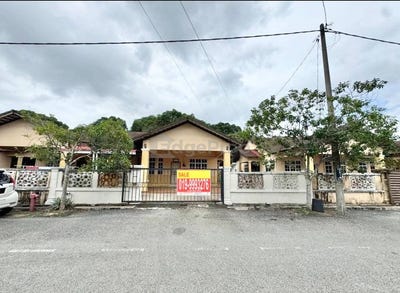 /international/my/kampung-mak-chili-cukai-terengganu-370120391327/