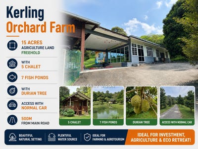 /international/my/ulu-yam-kerling-kuala-kubu-bharu-rasa-kampung-jawa-tanjung-malim-rawang-kampung-air-panas-batang-kali-rawang-ulu-yam-lembah-beringin-bukit-beruntung-batang-kali-hulu-selangor-selangor-370120319035/