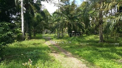 /international/my/selangor-sepang-selangor-370120446767/