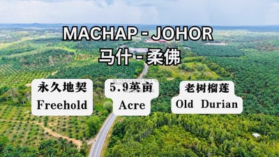 /international/my/simpang-renggam-johor-370120271220/