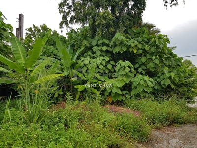 /international/my/sungai-buloh-selangor-370120398910/