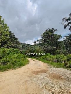 /international/my/jalan-pinang-tunggal-sungai-petani-kedah-370120271875/