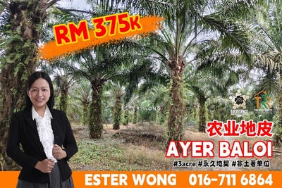 /international/my/pontian-johor-370120401539/