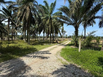 /international/my/simpang-renggam-johor-370120240191/