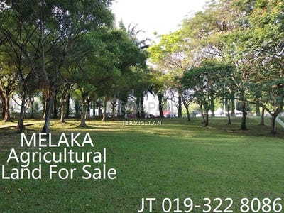 /international/my/alor-gajah-melaka-370120263600/