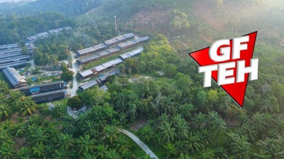 /international/my/14200-sungai-jawi-penang-370120167471/