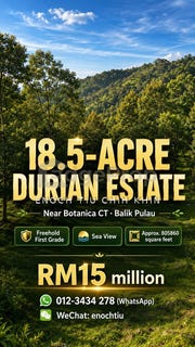 /international/my/balik-pulau-penang-370120437190/