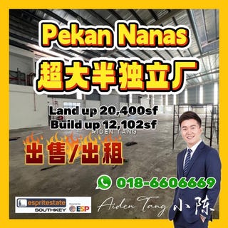/international/my/pekan-nanas-pekan-nenas-johor-370120296614/