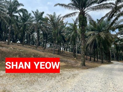 /international/my/jalan-bukit-minyak-jalan-dato-ooh-chooi-cheng-jalan-datuk-ooh-chooi-cheng-bukit-minyak-penang-370120596861/