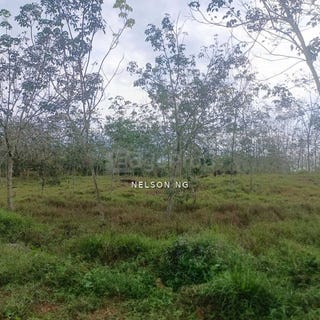 /international/my/j-port-dickson-negeri-sembilan-370120372632/
