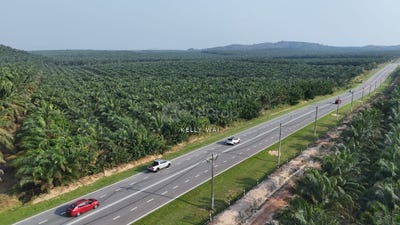 /international/my/kluang-johor-370120264046/