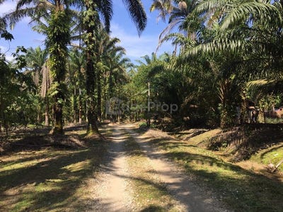 /international/my/kawasan-perindustrian-telok-panglima-garang-42500-telok-panglima-garang-selangor-telok-panglima-garang-selangor-370120495952/