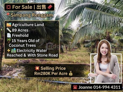 /international/my/kluang-johor-370120495450/