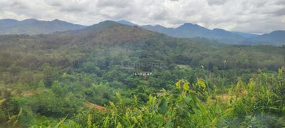 /international/my/jalan-kuala-lumpur-tanjung-malim-hulu-selangor-selangor-370120241426/
