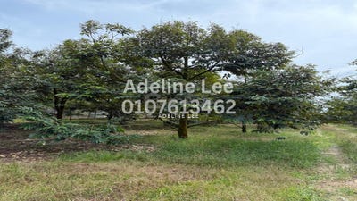 /international/my/taman-desa-cemerlang-ulu-tiram-johor-ulu-tiram-johor-370120494102/