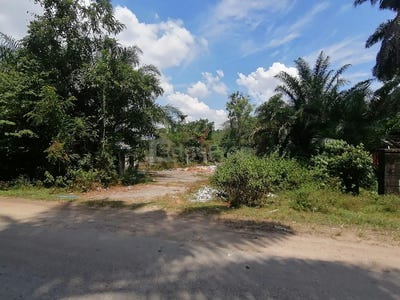 /international/my/jalan-kampung-orang-asli-kuang-selangor-370120187408/