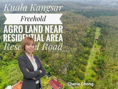 /international/my/laluan-meranti-tmn-kuala-kangsar-kuala-kangsar-perak-370120436526/