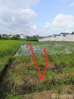 /international/id/jalan-pantai-seseh-pererenan-kel-mengwi-badung-80351-indonesia-badung-provinsi-bali-340105563683/