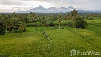 /international/id/desya-laundry-jalan-raya-dr-ir-soekarno-sanding-kel-tampaksiring-gianyar-80552-indonesia-gianyar-bali-340105562573/