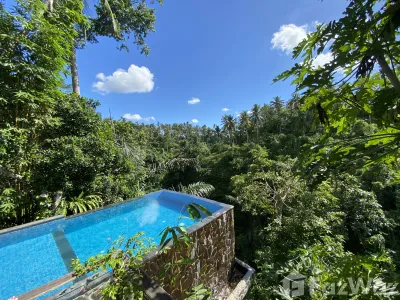 /international/id/chisp-tegallalang-kel-tegallalang-gianyar-80561-indonesia-gianyar-bali-340105563041/