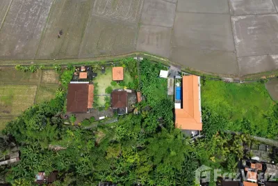/international/id/jalan-nakula-munggu-kel-mengwi-badung-80351-indonesia-badung-provinsi-bali-340105561541/