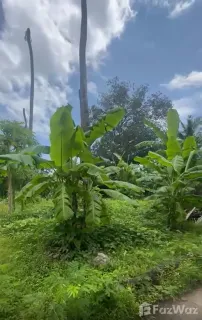 /international/id/kainalu-shipwrecks-villa-jungutbatu-kel-nusapenida-klungkung-80771-indonesia-klungkung-provinsi-bali-340105563527/
