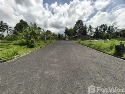 /international/id/agus-bali-village-tour-pejeng-kaja-kel-tampaksiring-gianyar-80552-indonesia-gianyar-bali-340107068161/