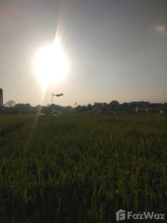 /international/id/jalan-nakula-munggu-kel-mengwi-badung-80351-indonesia-badung-provinsi-bali-340105561304/