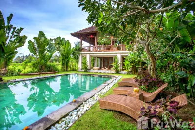 /international/id/authentic-walking-tours-kenderan-kel-tegallalang-gianyar-80561-indonesia-gianyar-bali-340105560331/
