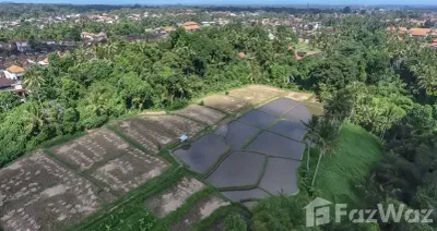 /international/id/bisma-eight-ubud-in-ubud-jalan-bisma-68-ubud-kel-ubud-gianyar-80571-indonesia-gianyar-bali-340106359516/