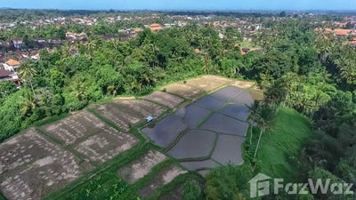 /international/id/adiwana-bisma-jalan-bisma-ubud-kel-ubud-gianyar-80571-indonesia-gianyar-bali-340105564768/