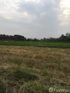/international/th/วัดตาลเดี่ยว-ตาลเดี่ยว-แก่งคอย-สระบุรี-18110-ประเทศไทย-แก่งคอย-340105596666/