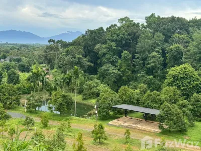 /international/th/สวนสมุนไพรจันทบุรี-อ่างคีรี-มะขาม-จันทบุรี-22150-ประเทศไทย-มะขาม-340105568724/